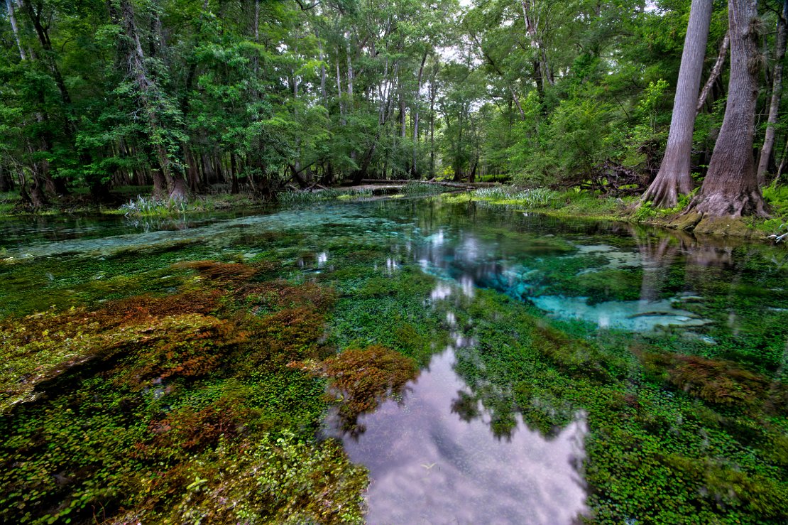 Naked Springs at Gilchrist Blue Springs State Park