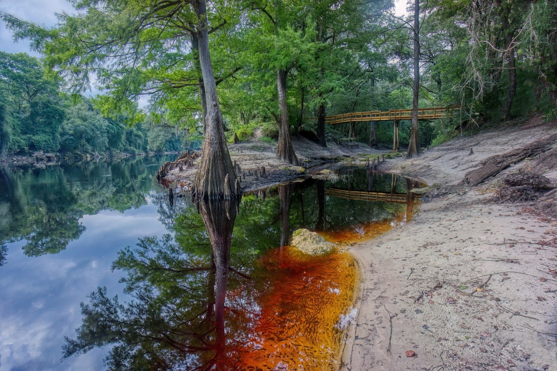 Suwannee River _ Lime Sink Run Bridge