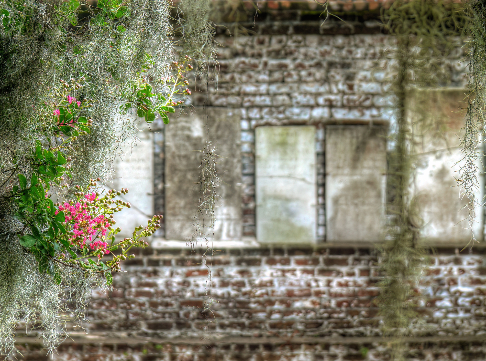 Crepe Myrtle Brick and Headstones Savannah GeorgiaA