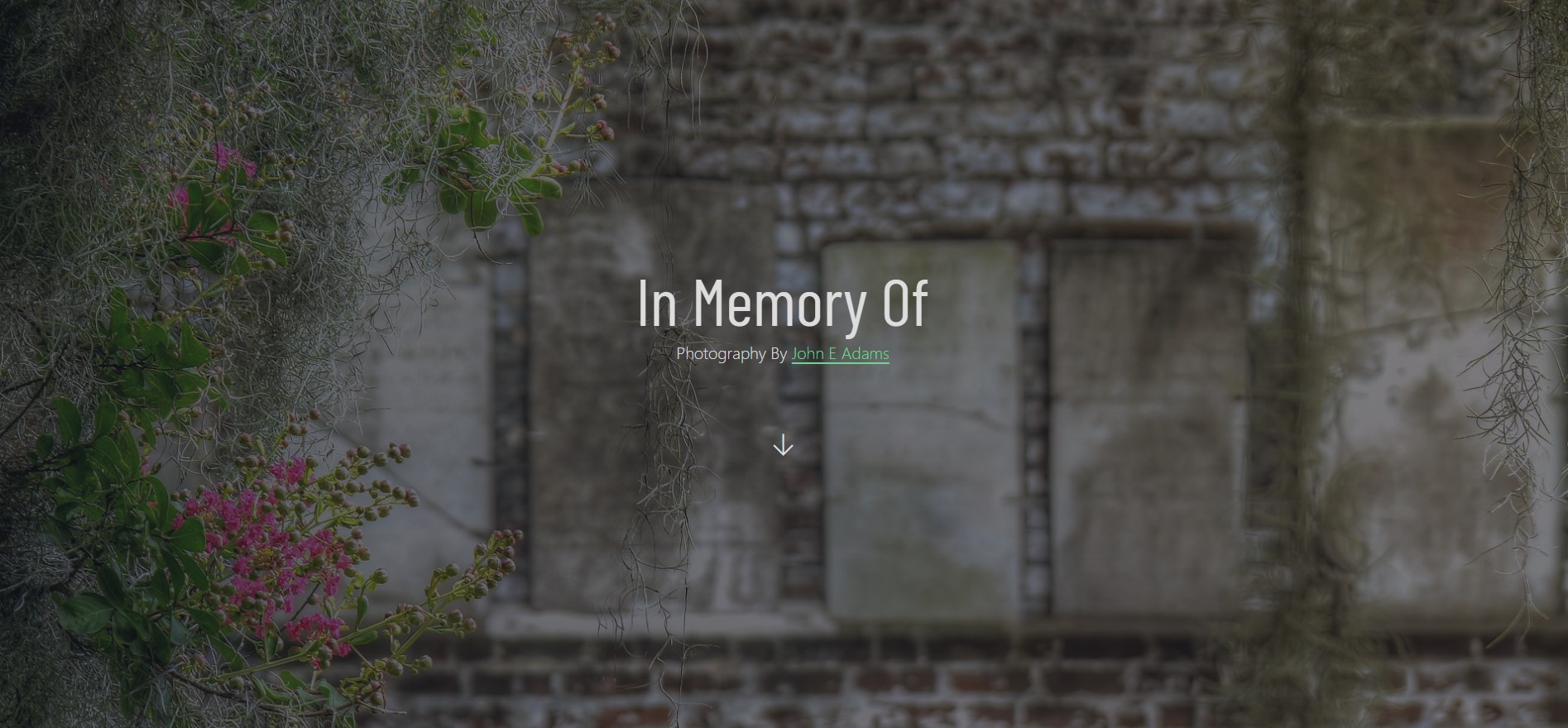 inmemory